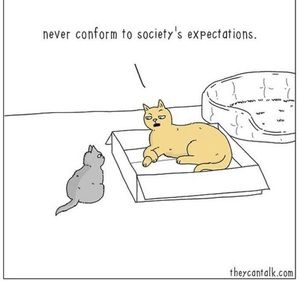 Meet your Posher, Mary